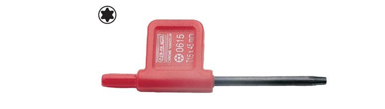 Torx UClu bayrak  tornavIda T 10